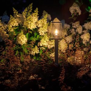 Lightpro Eros Hi